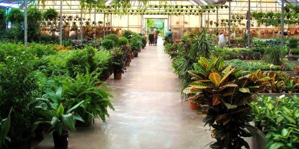 NIT - Nursery Inspection & Tracking