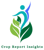 Crop Report Insights